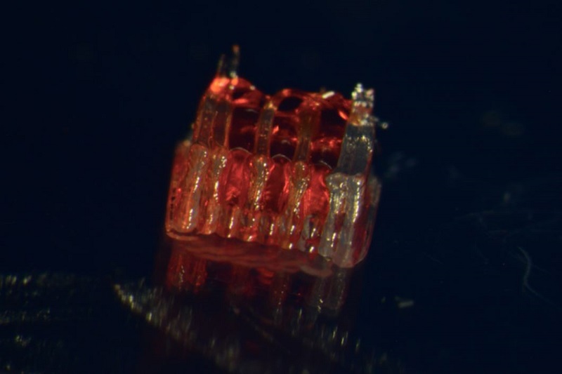 Биопечать клеток